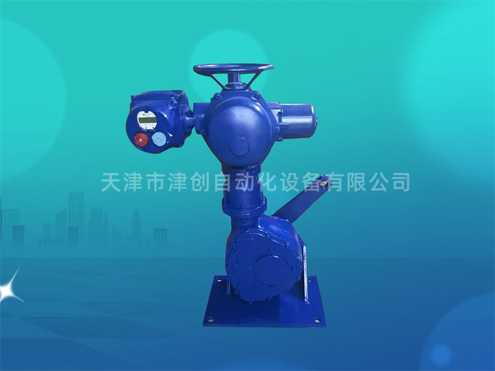 進(jìn)口原裝角行程電動執(zhí)行器